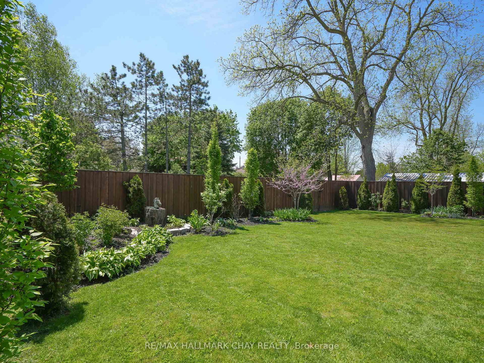 97 Nelson Street W • New Tecumseth, ON photo 3