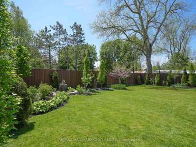 97 Nelson Street W • New Tecumseth, ON photo 3