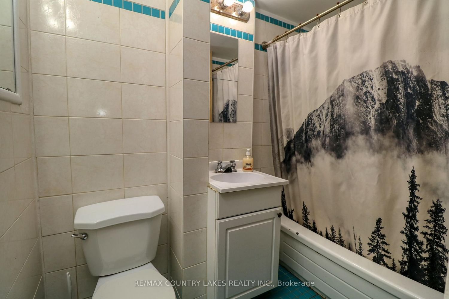 607 Simcoe Street • Brock, ON photo 10