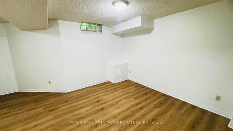 Basement - 39 Loweswater Avenue