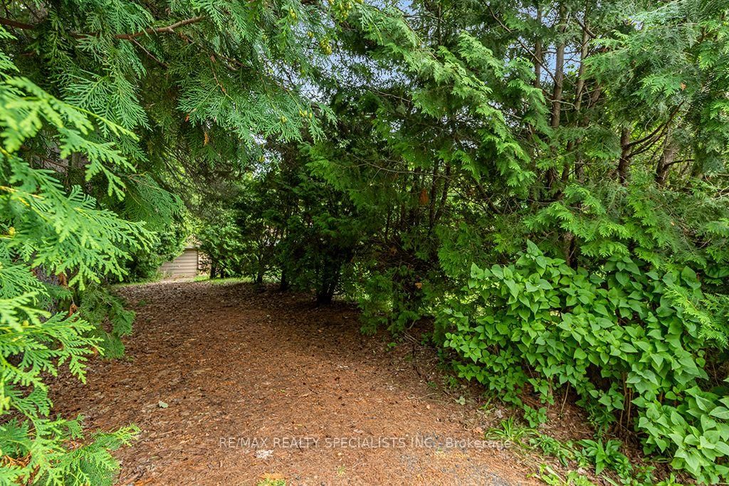 Lot 34 Riga Road • Essa, ON photo 6