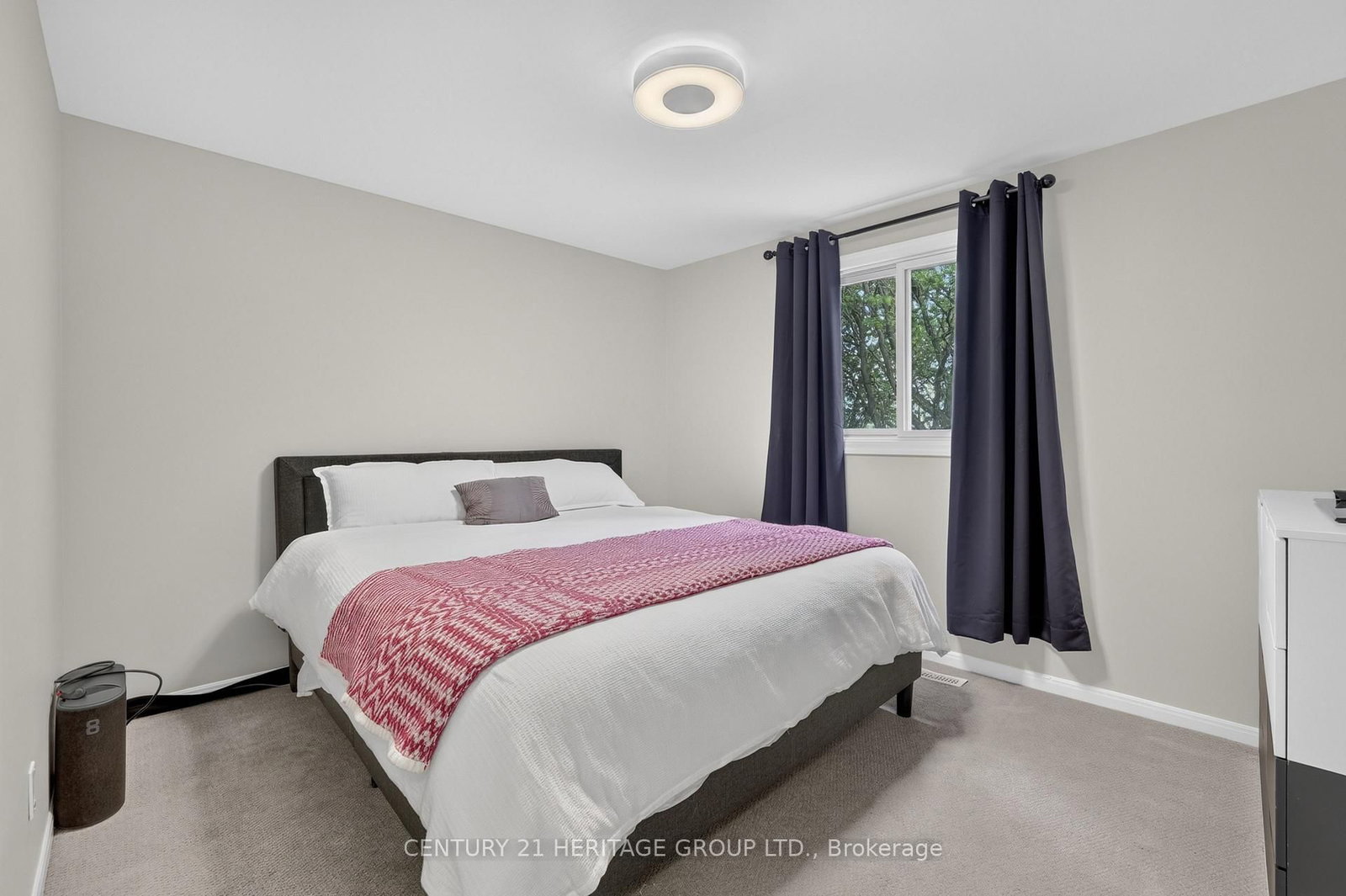 28 Innis Crescent • Richmond Hill, ON photo 29