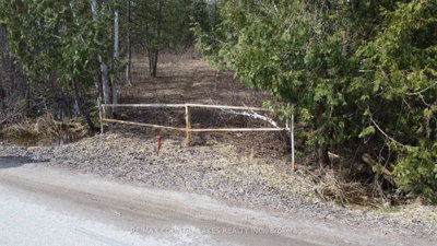 122-123 RIVERVIEW BEACH Road • Georgina, ON photo 4