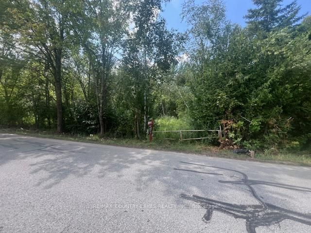 122-123 RIVERVIEW BEACH Road • Georgina, ON photo 5