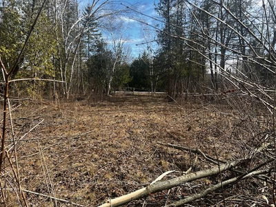 122-123 RIVERVIEW BEACH Road • Georgina, ON photo 8
