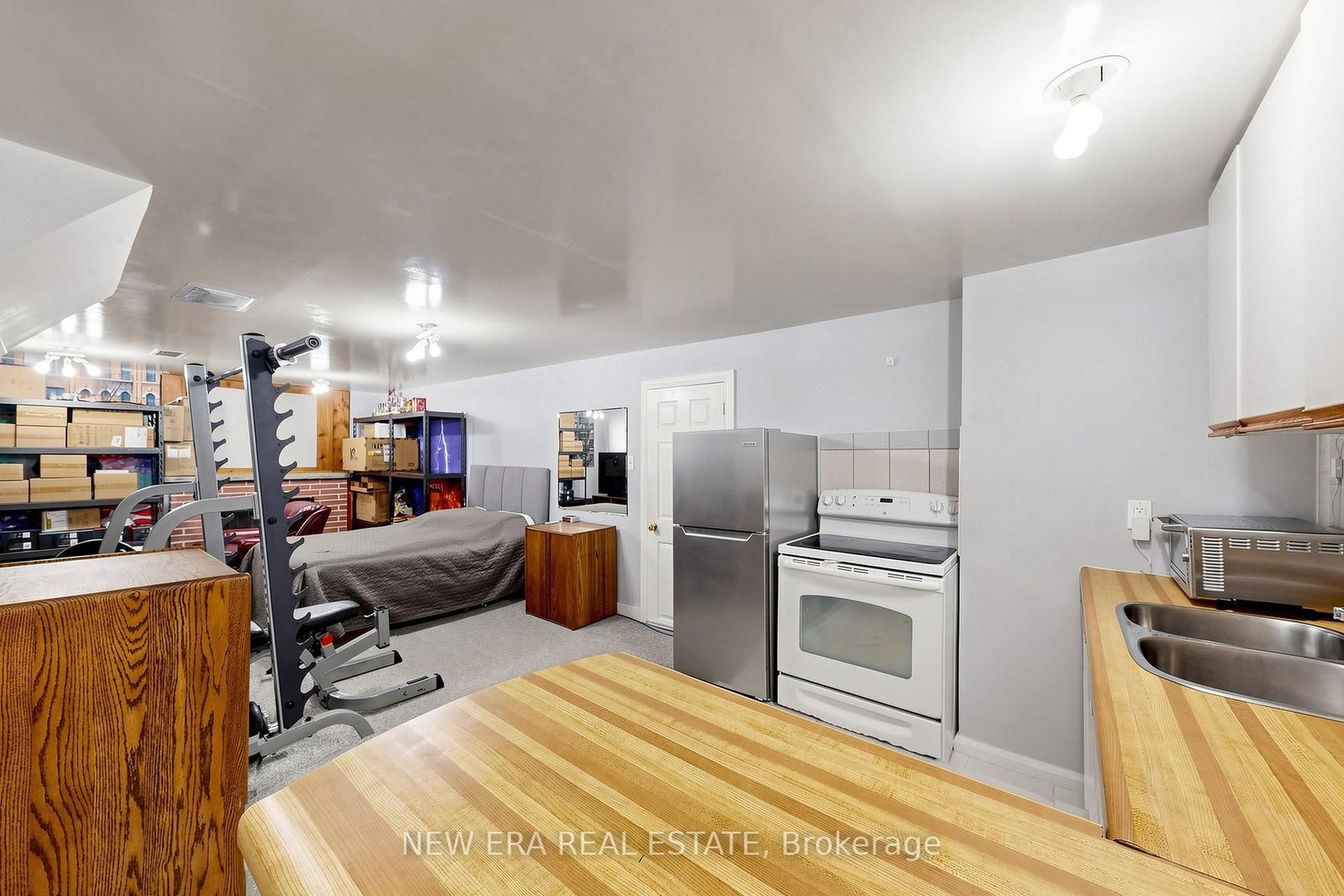 197 Lucas Street • Richmond Hill, ON photo 27