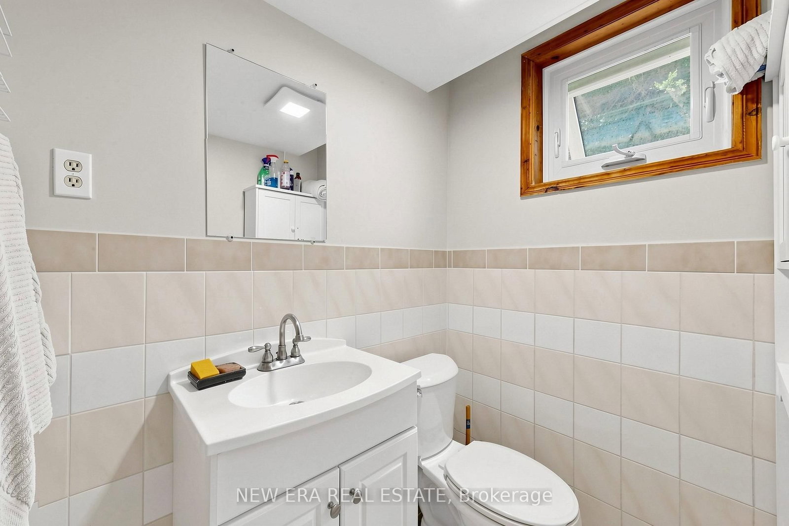 197 Lucas Street • Richmond Hill, ON photo 31