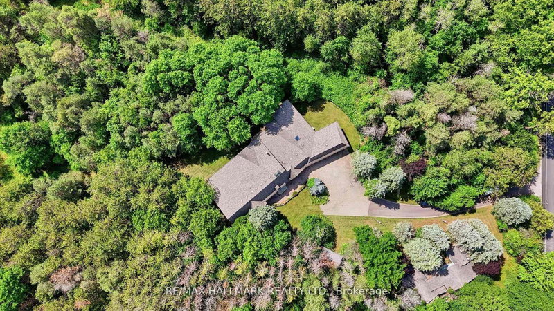 18381 McCowan Road