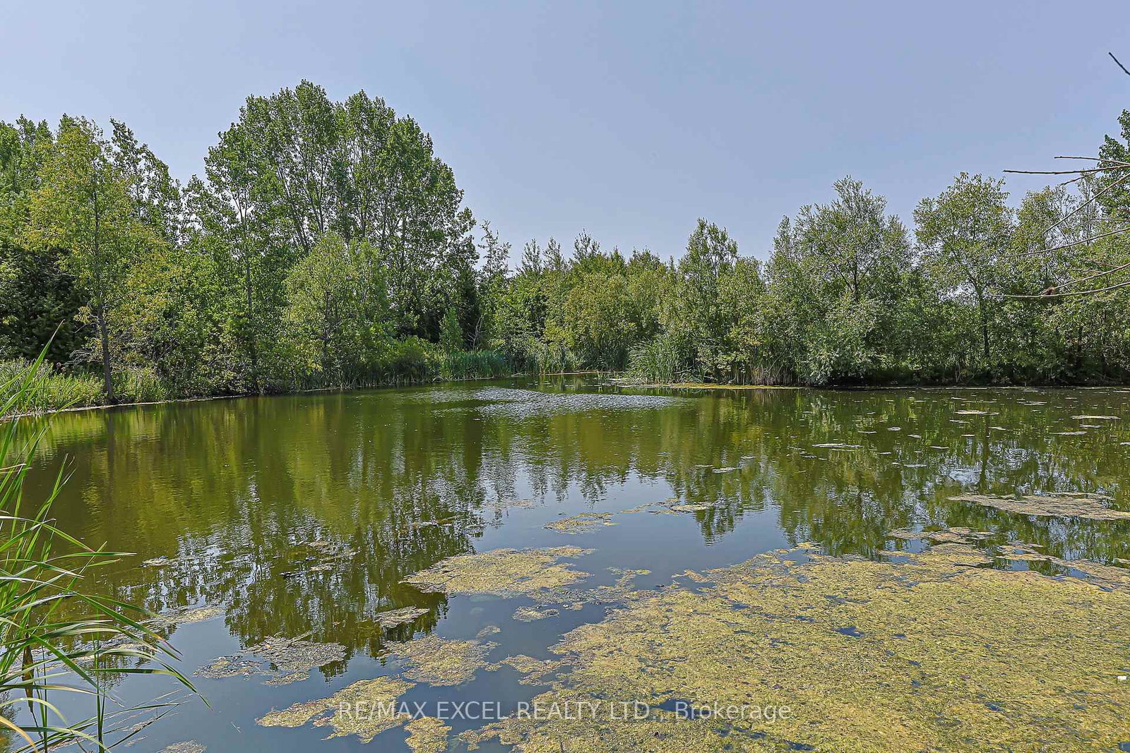 173 Selwyn Road • Richmond Hill, ON photo 26