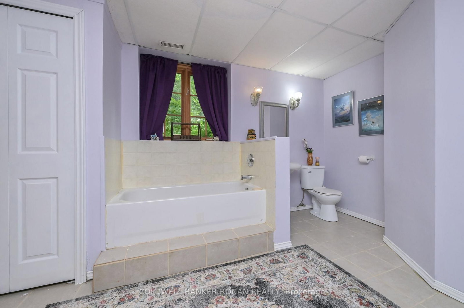 7975 County Road 13 • Adjala-Tosorontio, ON photo 22