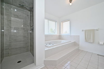 Thumbnail 31