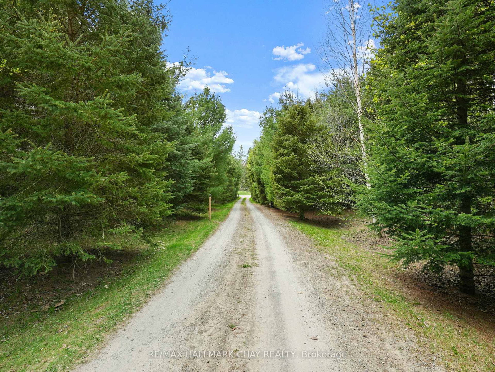 2043 Concession 5 Road • Adjala-Tosorontio, ON photo 39