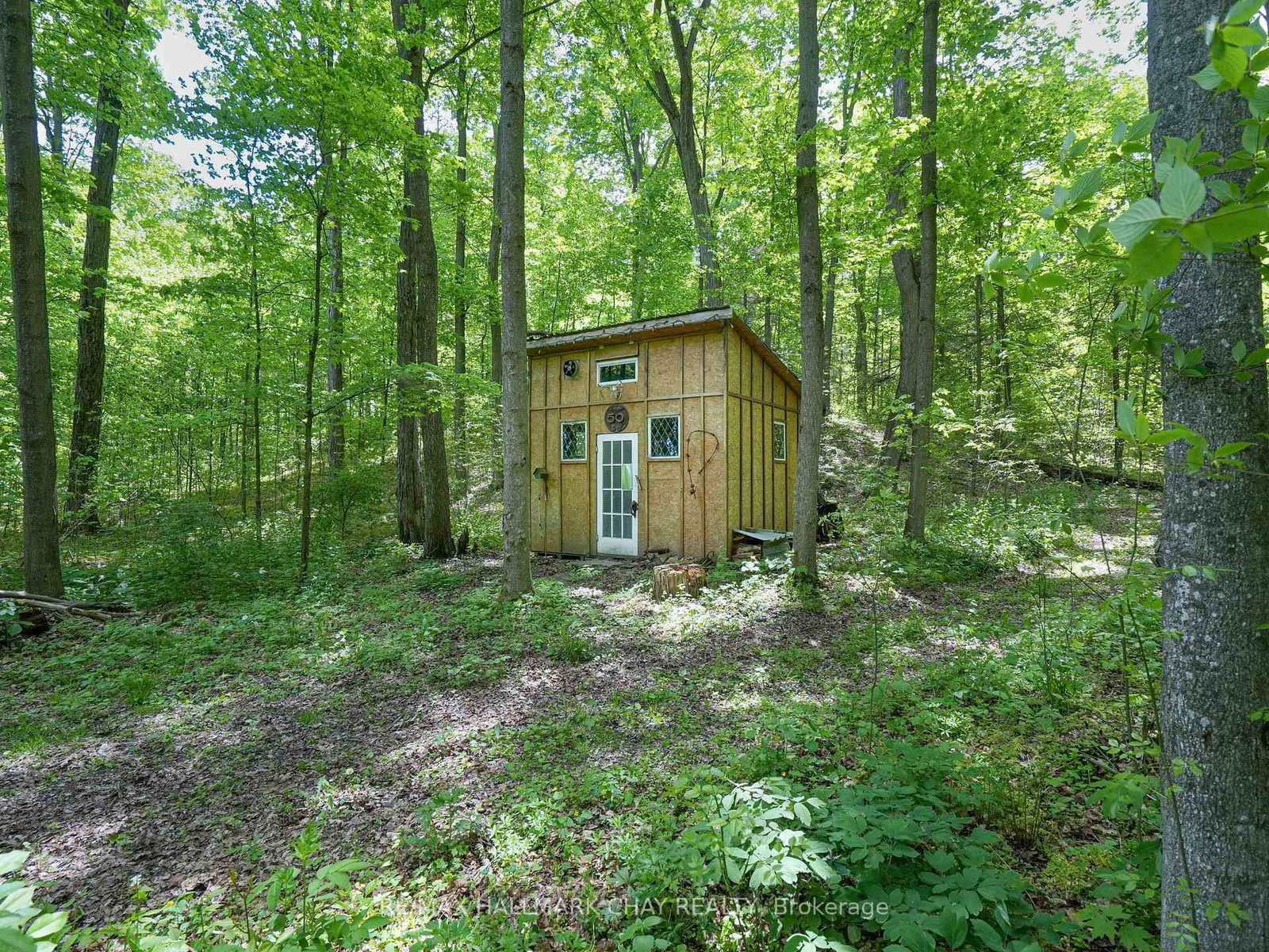 2043 Concession 5 Road • Adjala-Tosorontio, ON photo 42