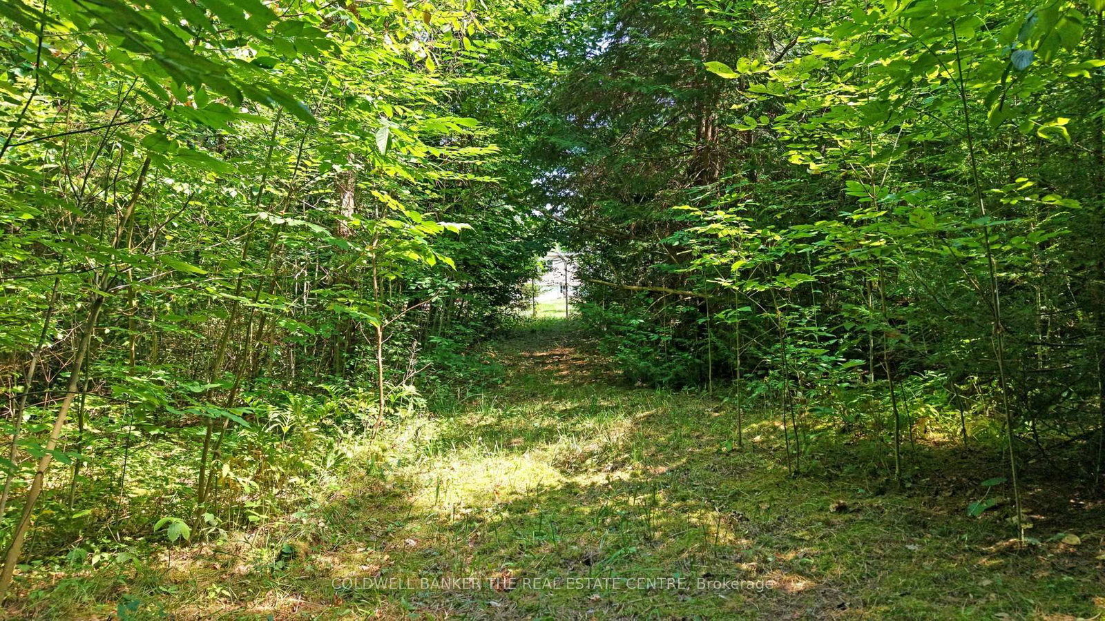 15600 Weston Road • King, ON photo 11