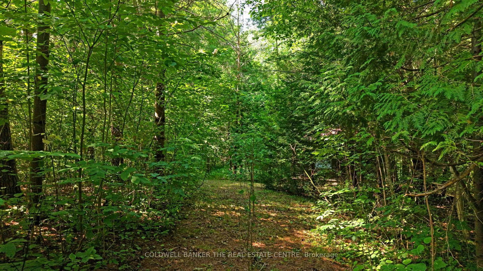 15600 Weston Road • King, ON photo 16