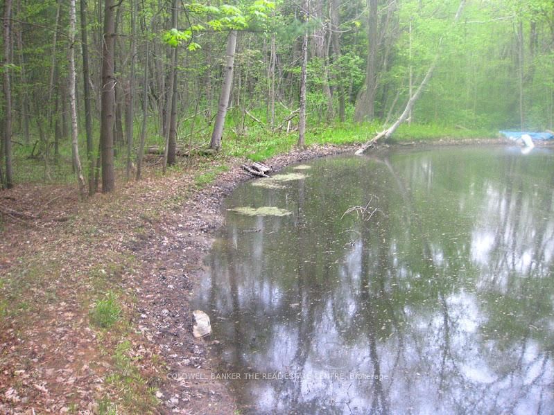15600 Weston Road • King, ON photo 23