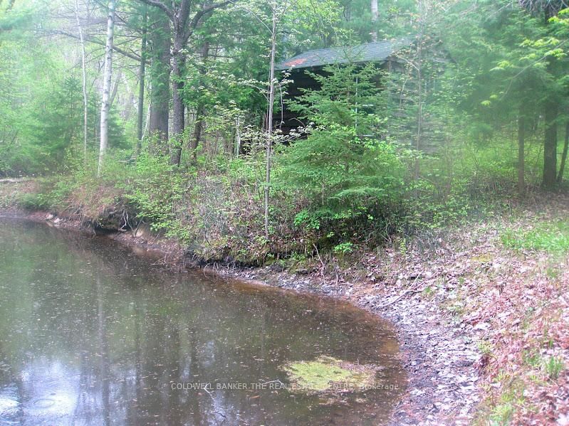 15600 Weston Road • King, ON photo 24