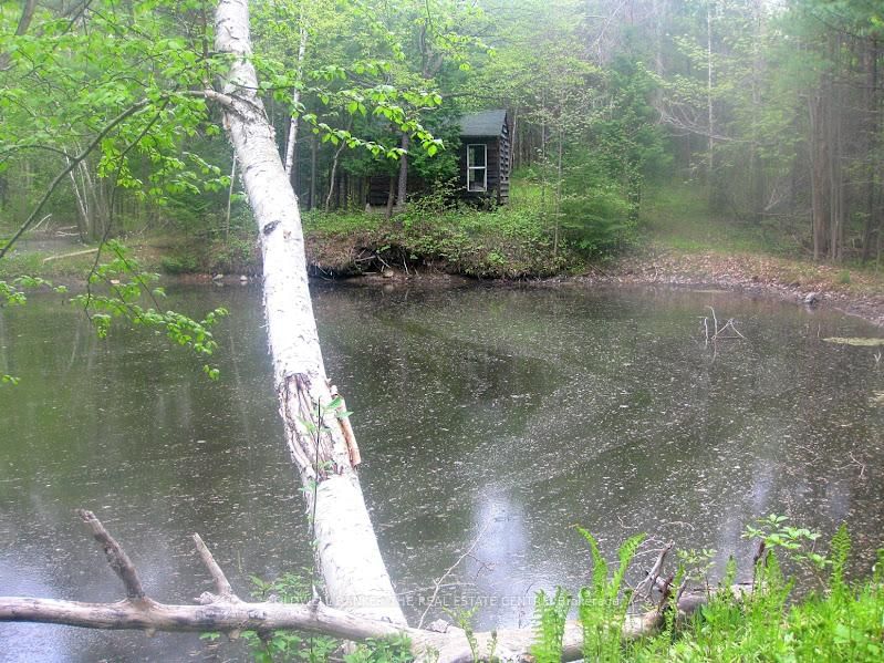 15600 Weston Road • King, ON photo 25