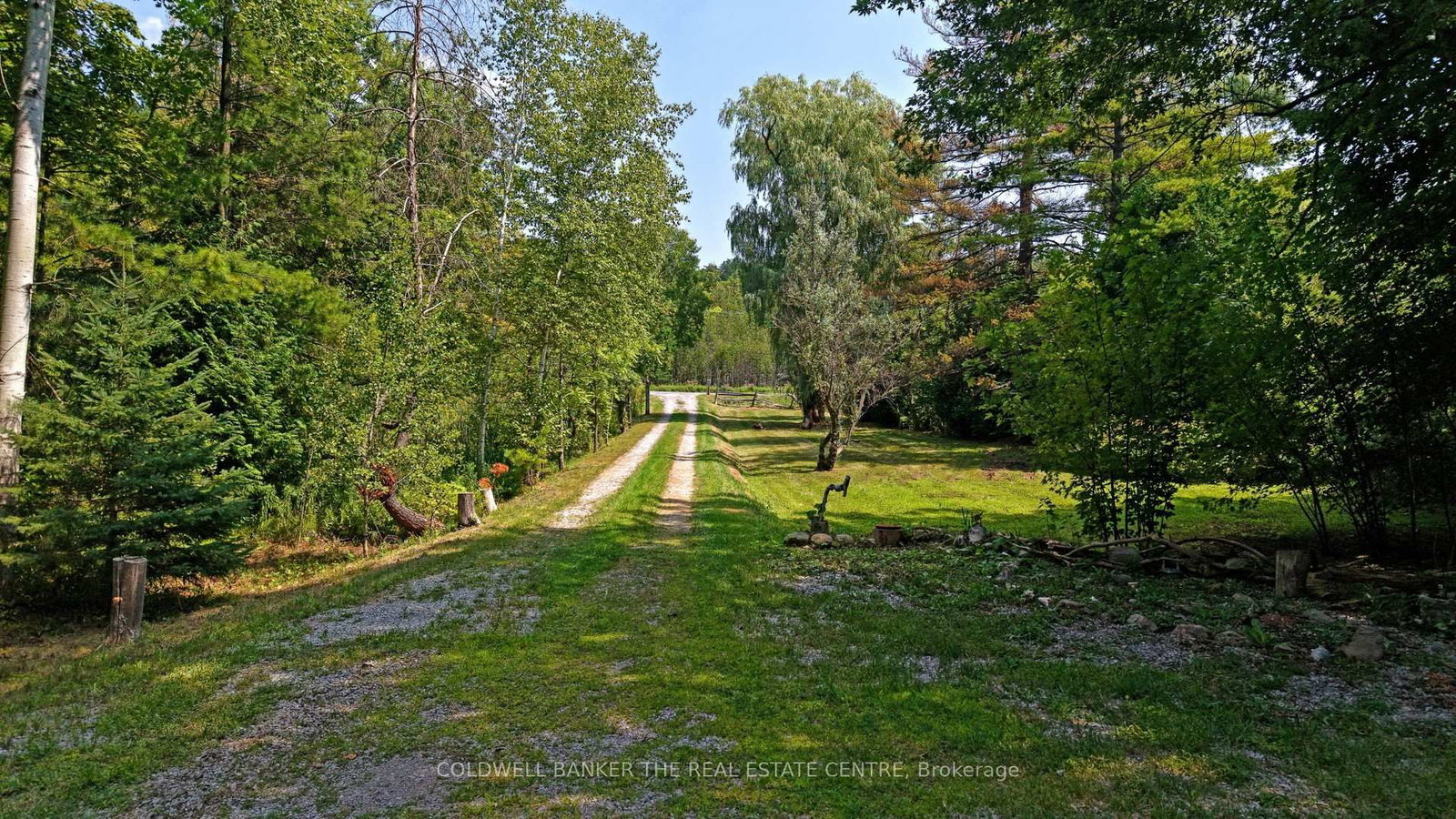 15600 Weston Road • King, ON photo 5
