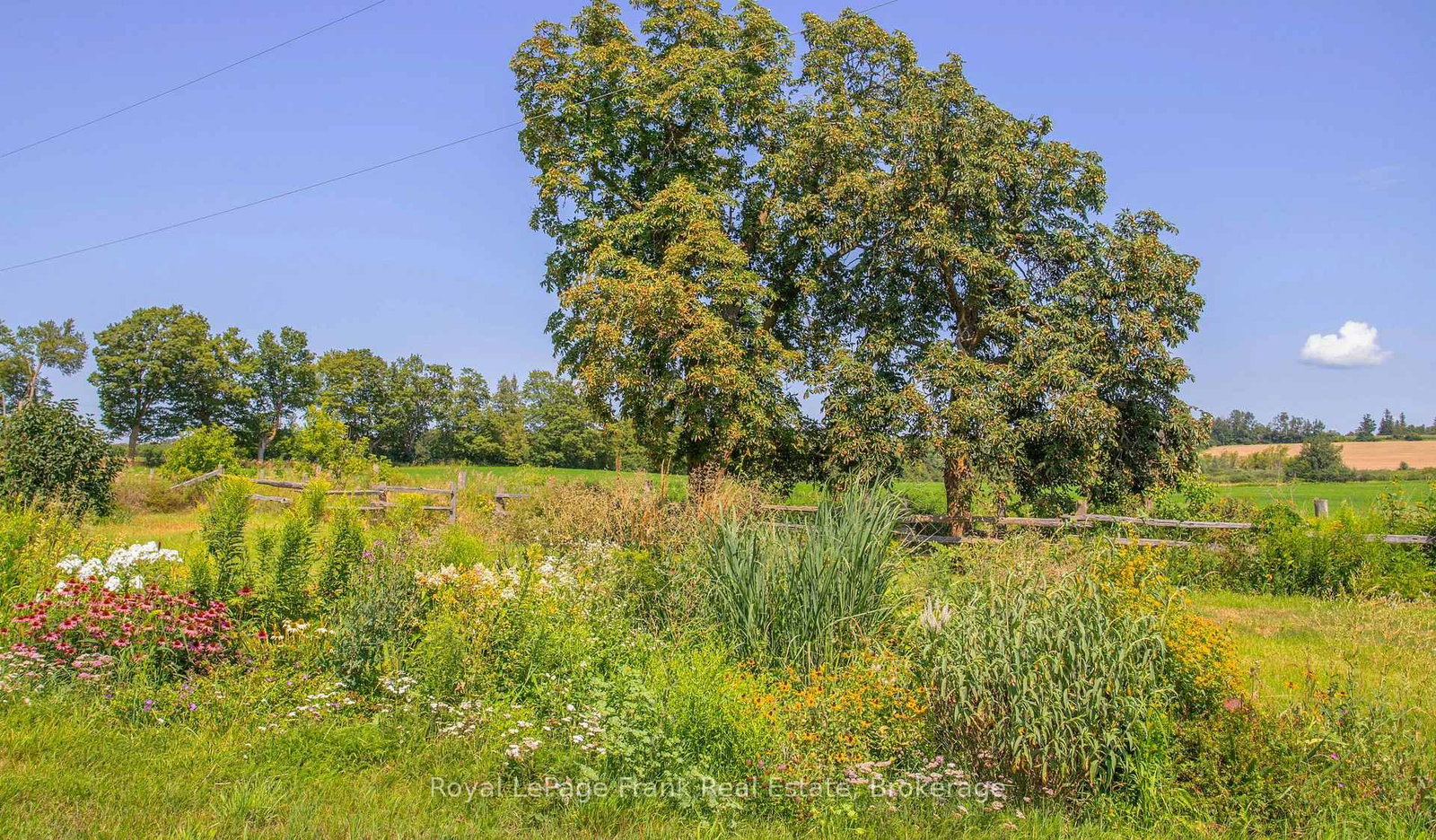 1450 Brock Concession 4 Road • Brock, ON photo 46