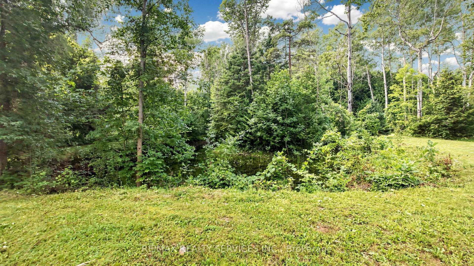 9225 County 1 Road • Adjala-Tosorontio, ON photo 37