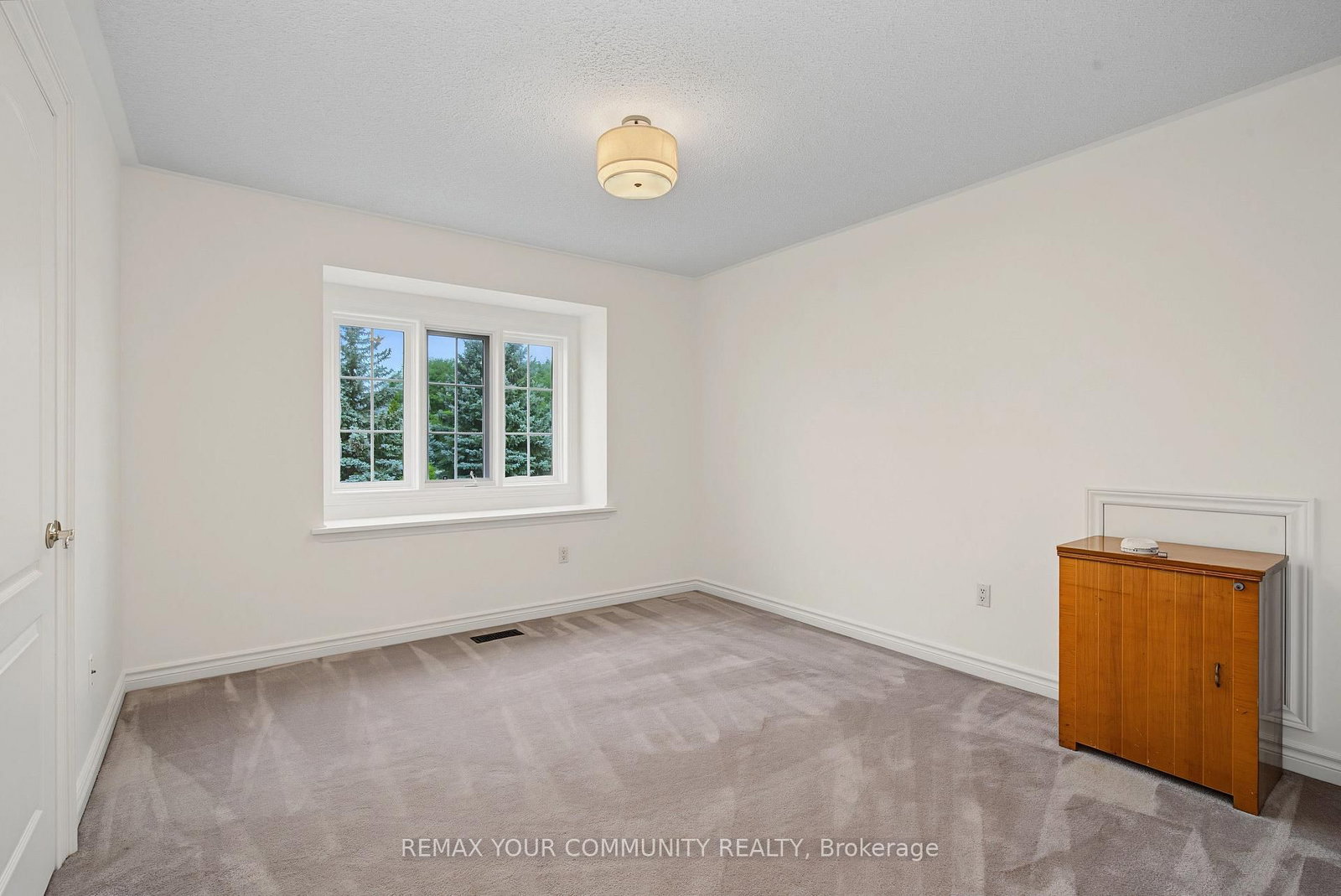 20 Fern Avenue • Richmond Hill, ON photo 35