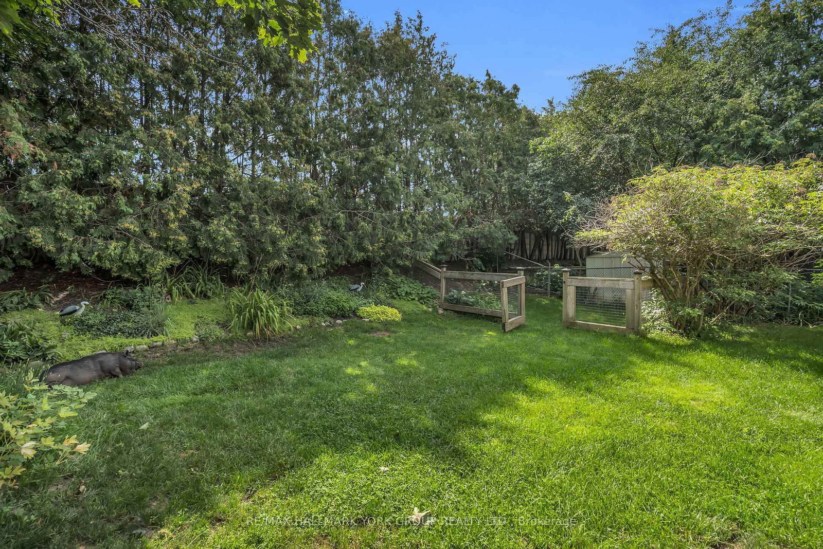 606 Haines Road • Newmarket, ON photo 37