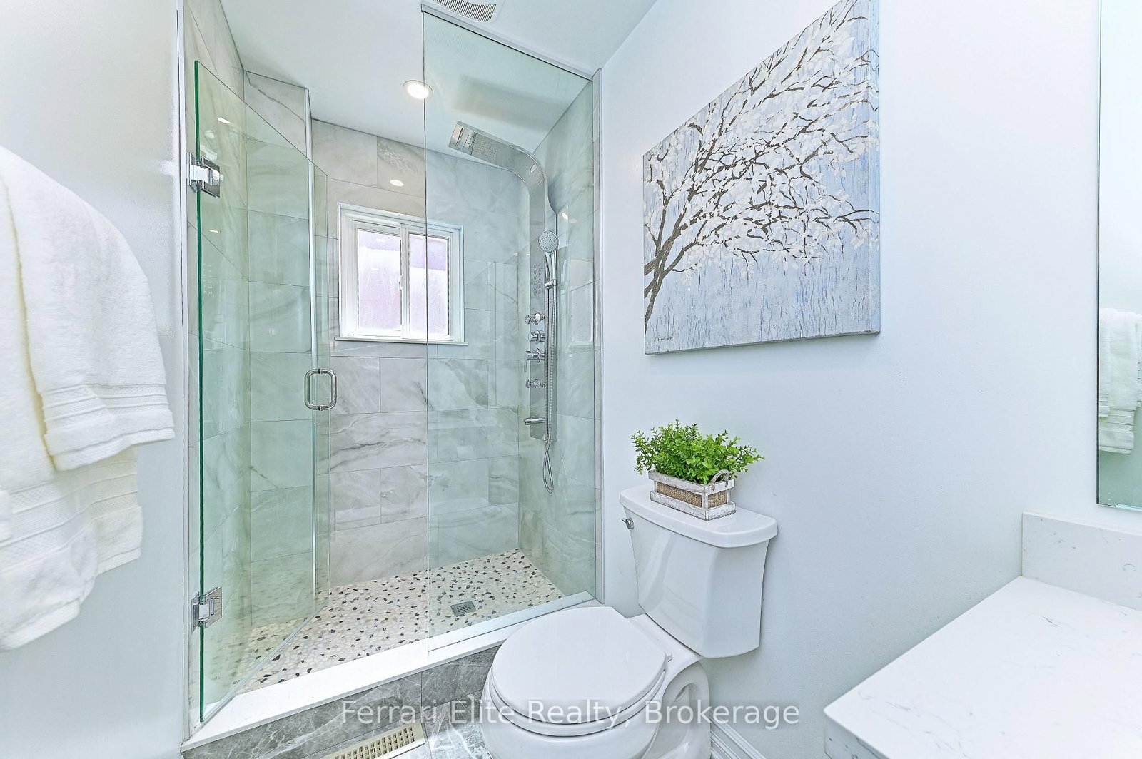 53 Belvedere Crescent • Richmond Hill, ON photo 9