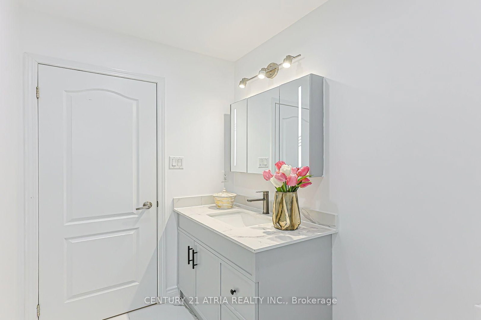 338 Carlissa Run • Newmarket, ON photo 37