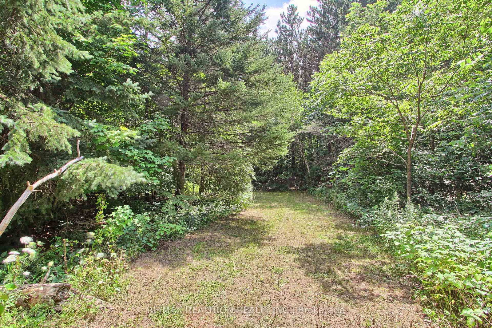 3433 Mount Albert Road • East Gwillimbury, ON photo 44