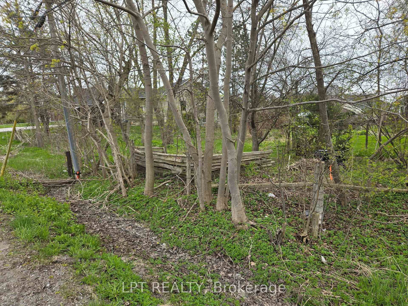 Lot Metro Road N • Georgina, ON photo 9