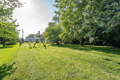 N/A Metro Road N • Georgina, ON photo 7