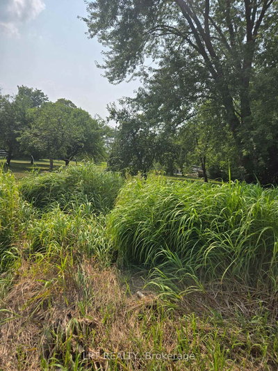 N/A Metro Road N • Georgina, ON photo 9