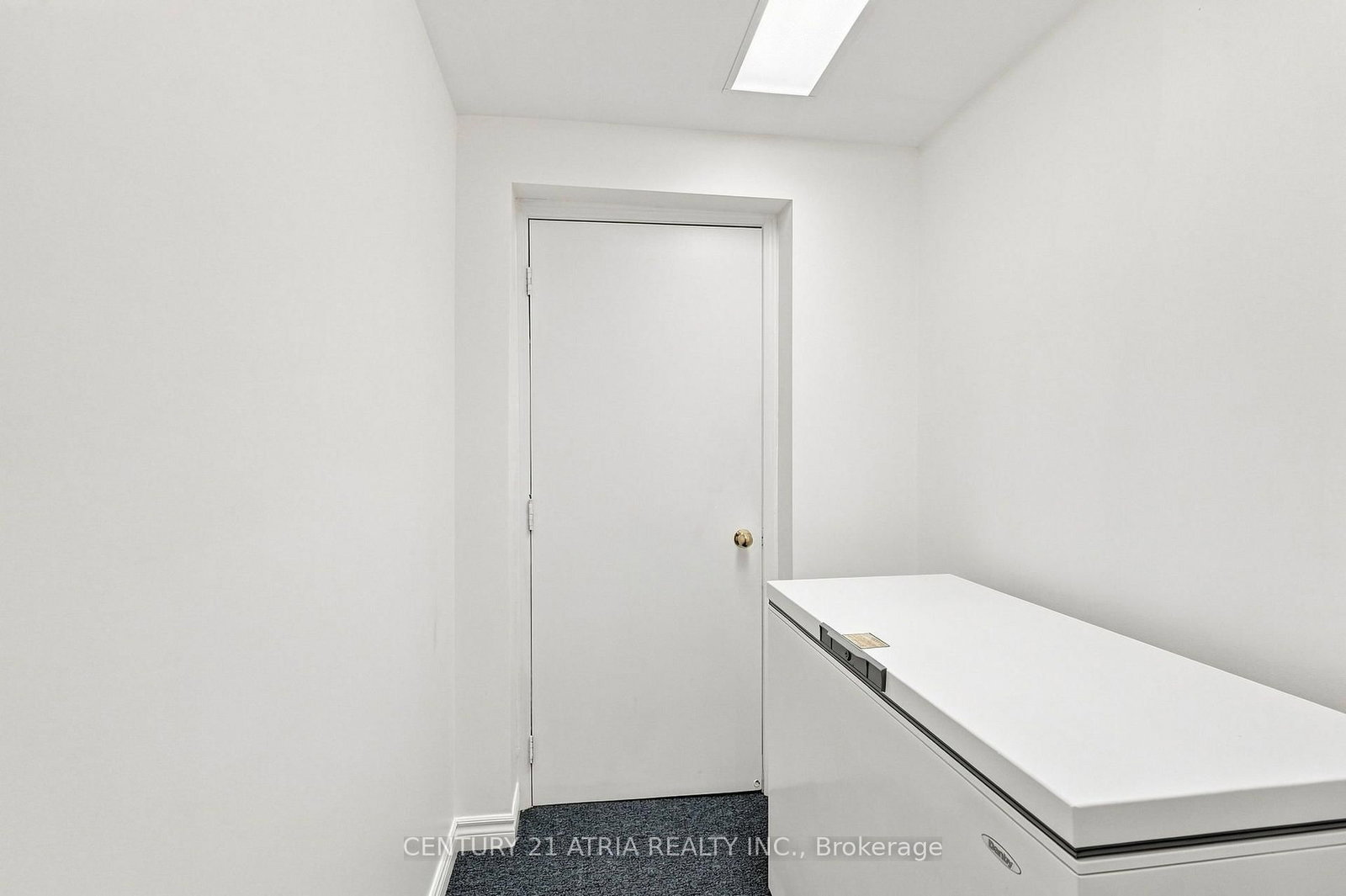 136 Rollinghill Road • Richmond Hill, ON photo 45