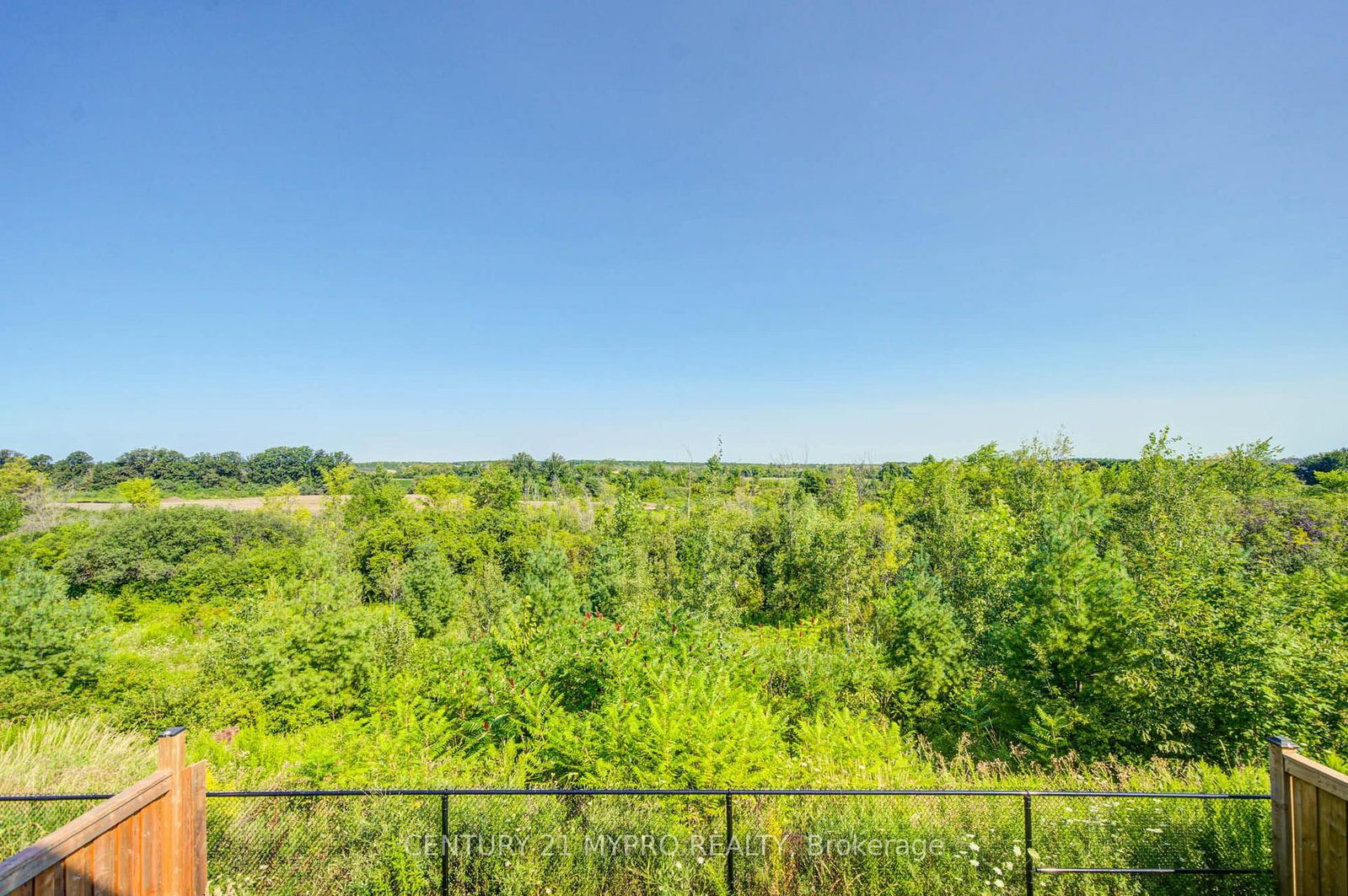 134 Hartney Drive • Richmond Hill, ON photo 18