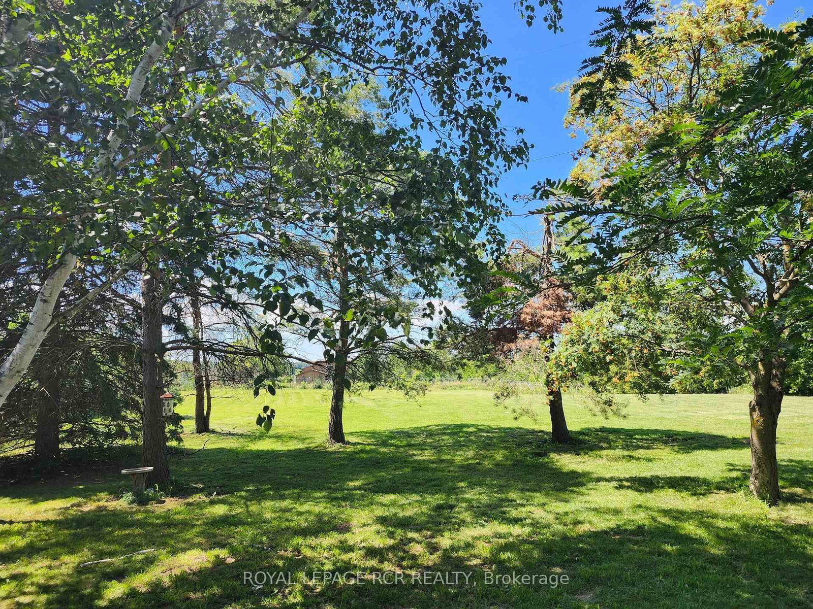 4044 Ravenshoe Road • Georgina, ON photo 5