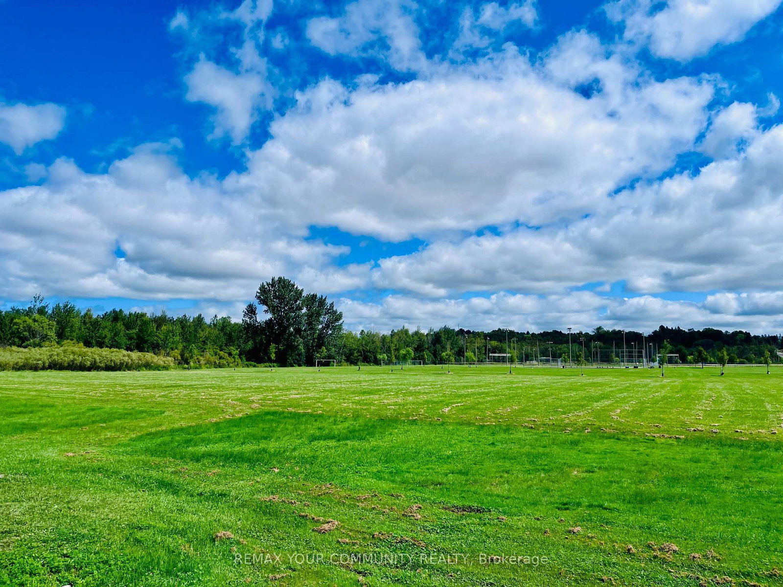322 Irene Drive • Georgina, ON photo 50