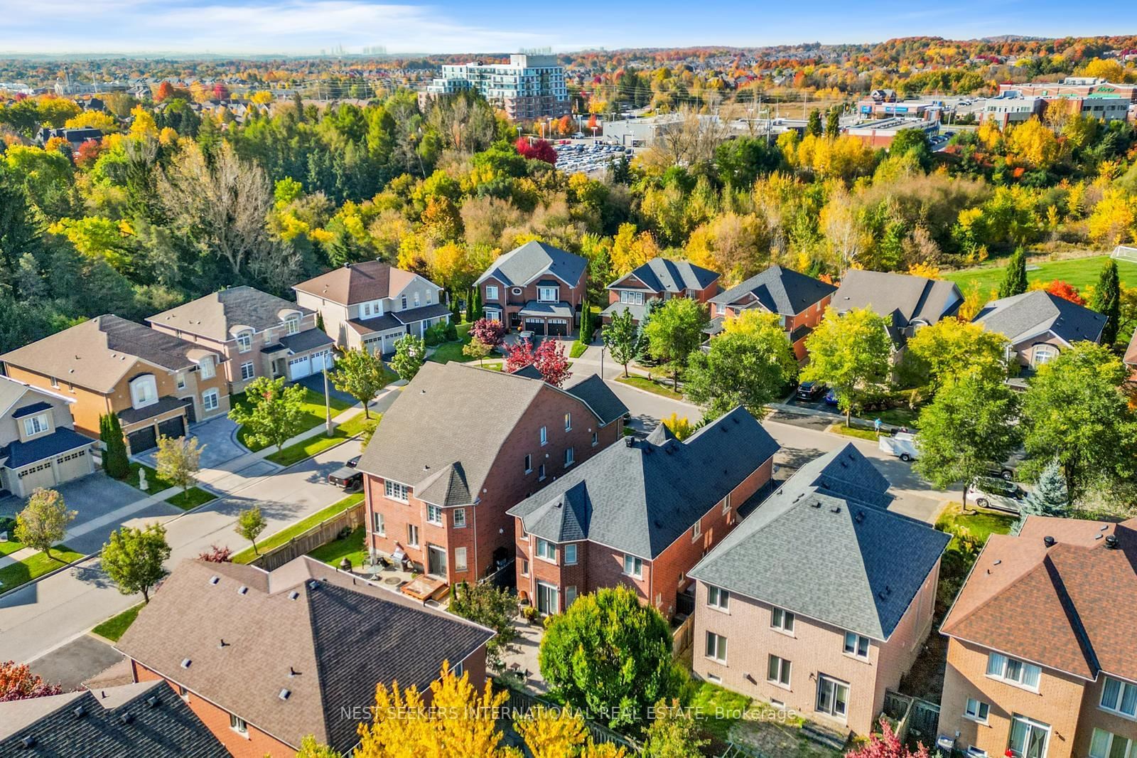 37 RAVINE EDGE Drive • Richmond Hill, ON photo 44