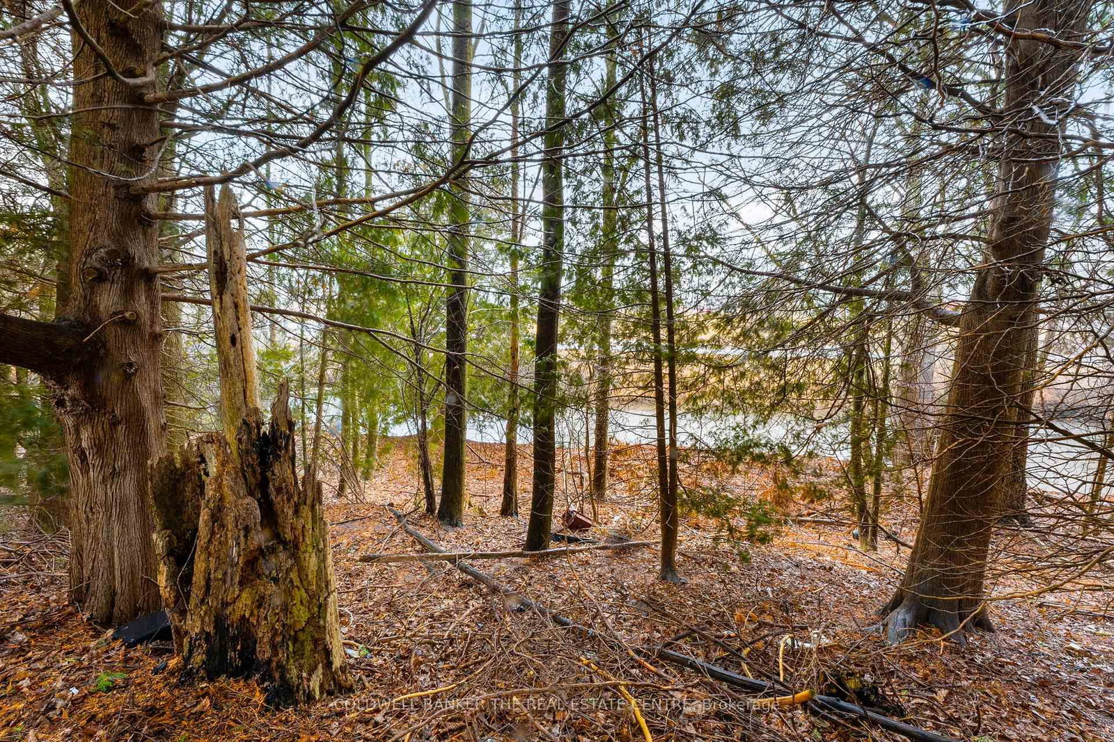 285 Crydermans Side Road • #409 • Georgina, ON photo 34