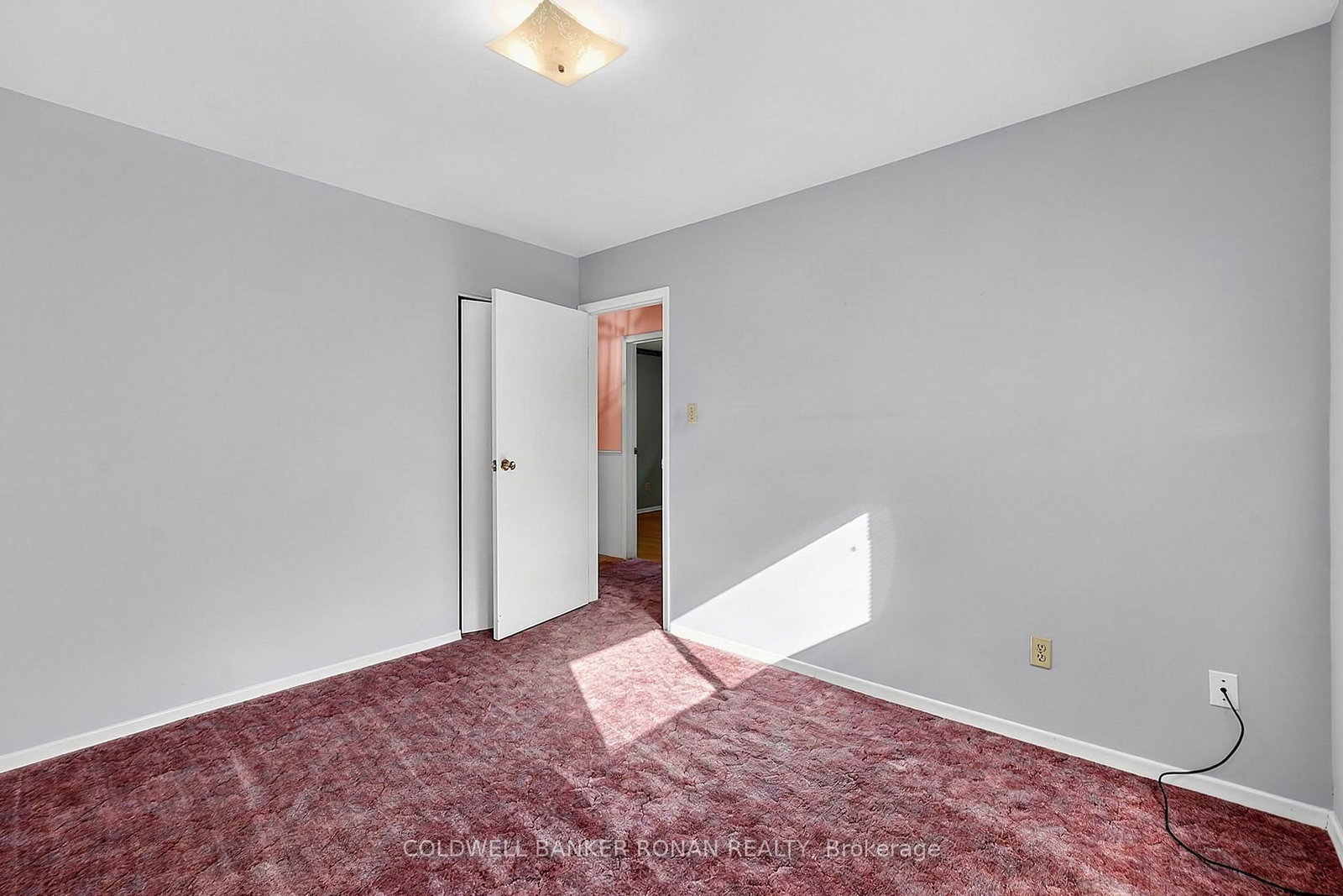 43 Alexander Street • New Tecumseth, ON photo 15