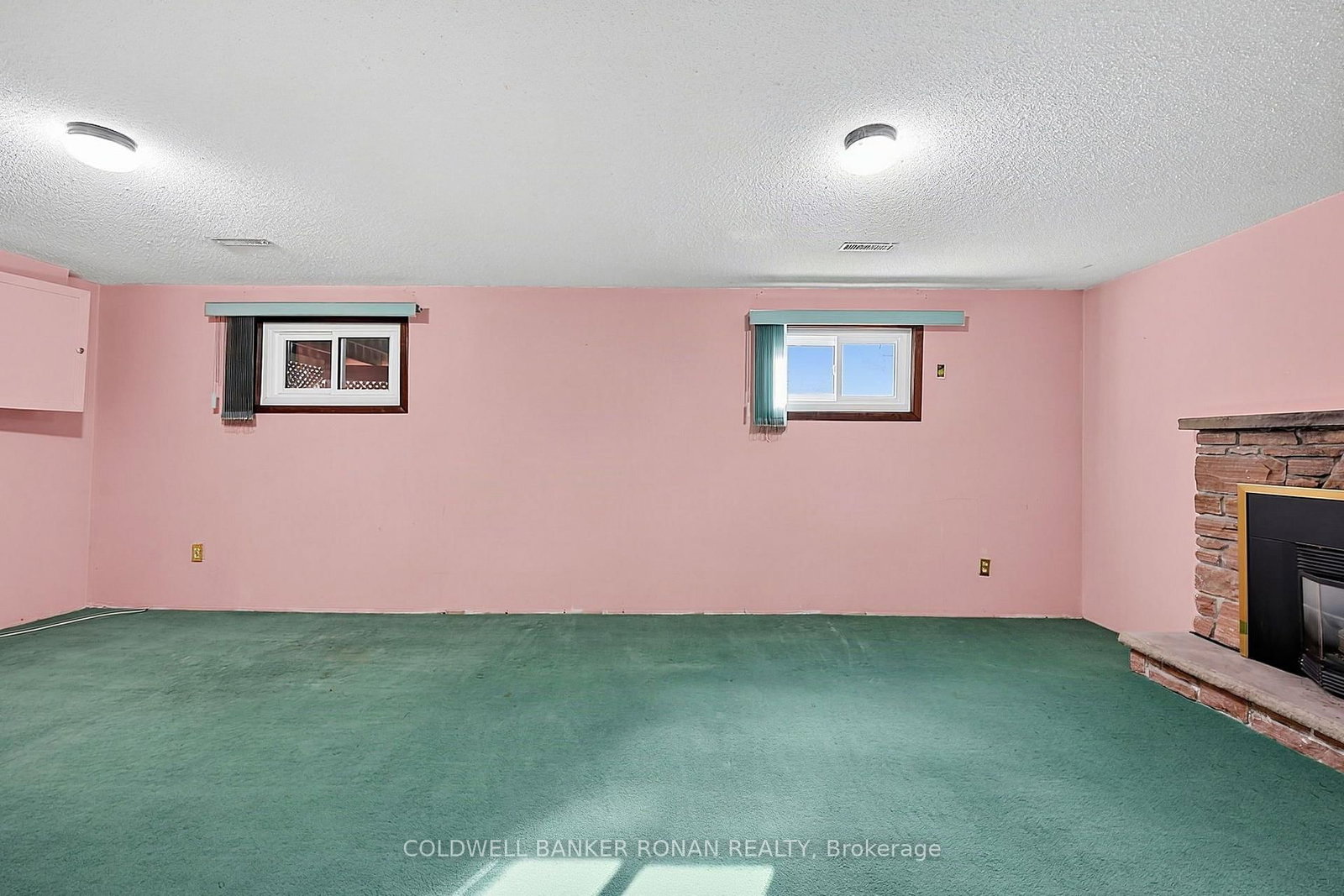 43 Alexander Street • New Tecumseth, ON photo 21
