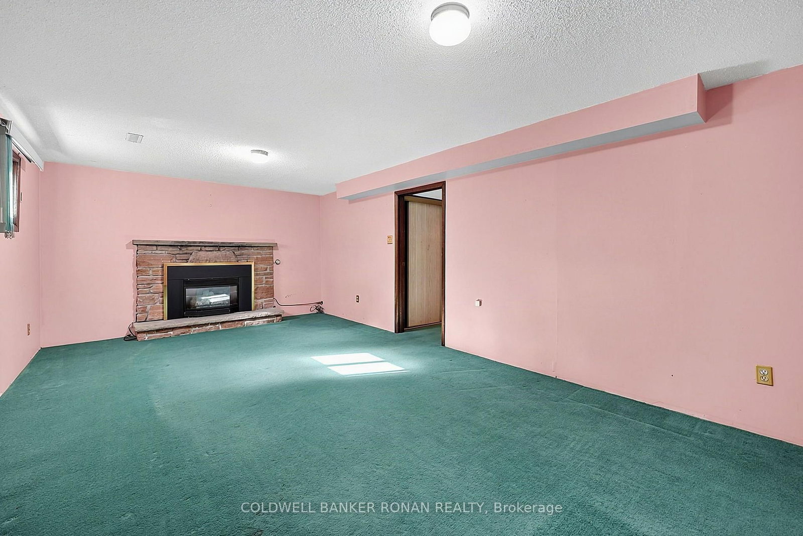 43 Alexander Street • New Tecumseth, ON photo 23