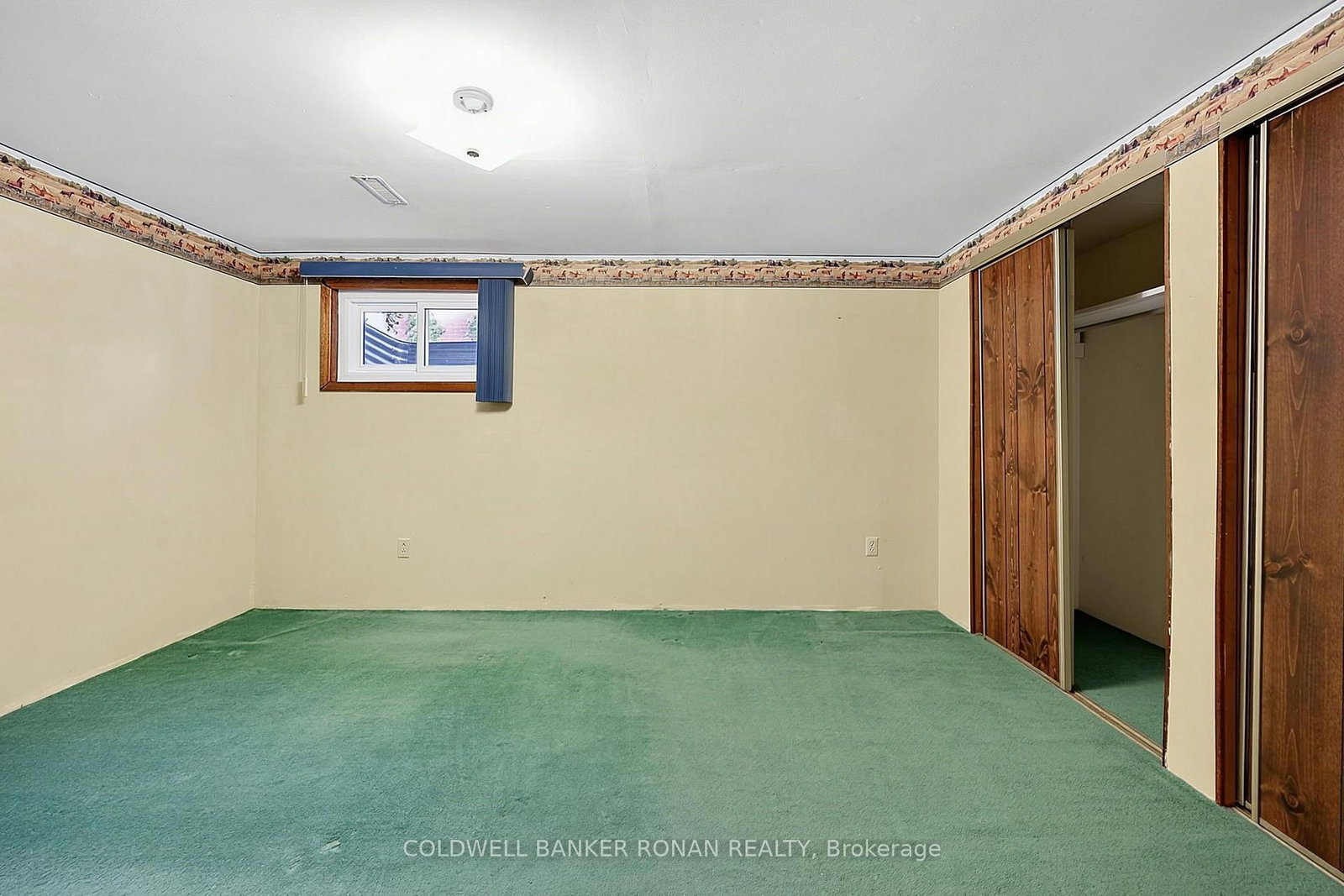 43 Alexander Street • New Tecumseth, ON photo 24