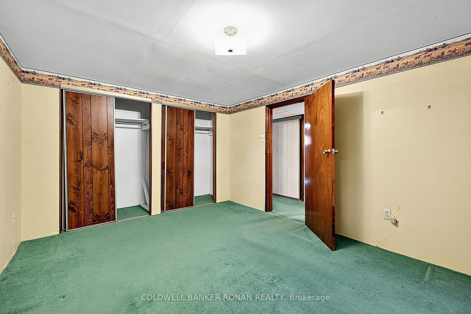 43 Alexander Street • New Tecumseth, ON photo 25