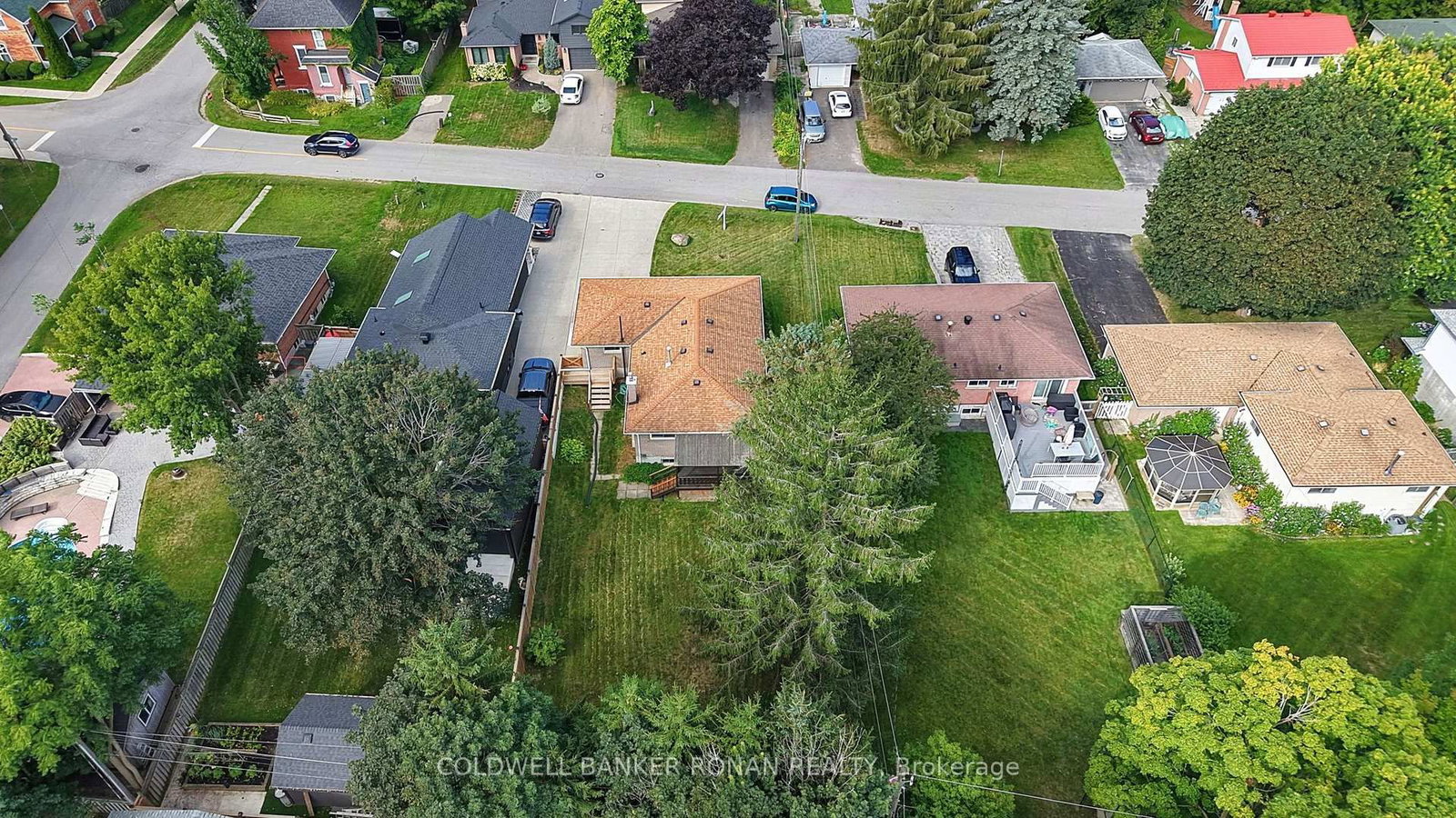 43 Alexander Street • New Tecumseth, ON photo 42