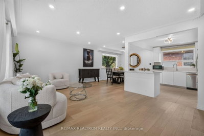 249 Tampico Road • Richmond Hill, ON photo 9