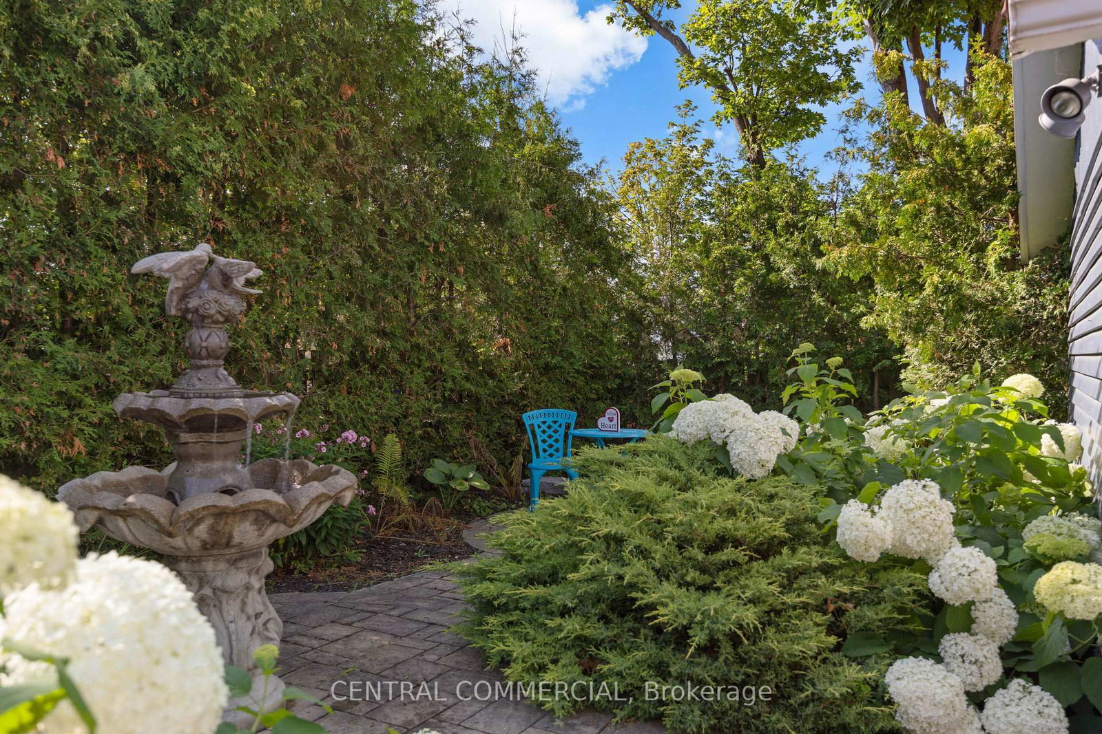 36 Ash Street - Photo 39