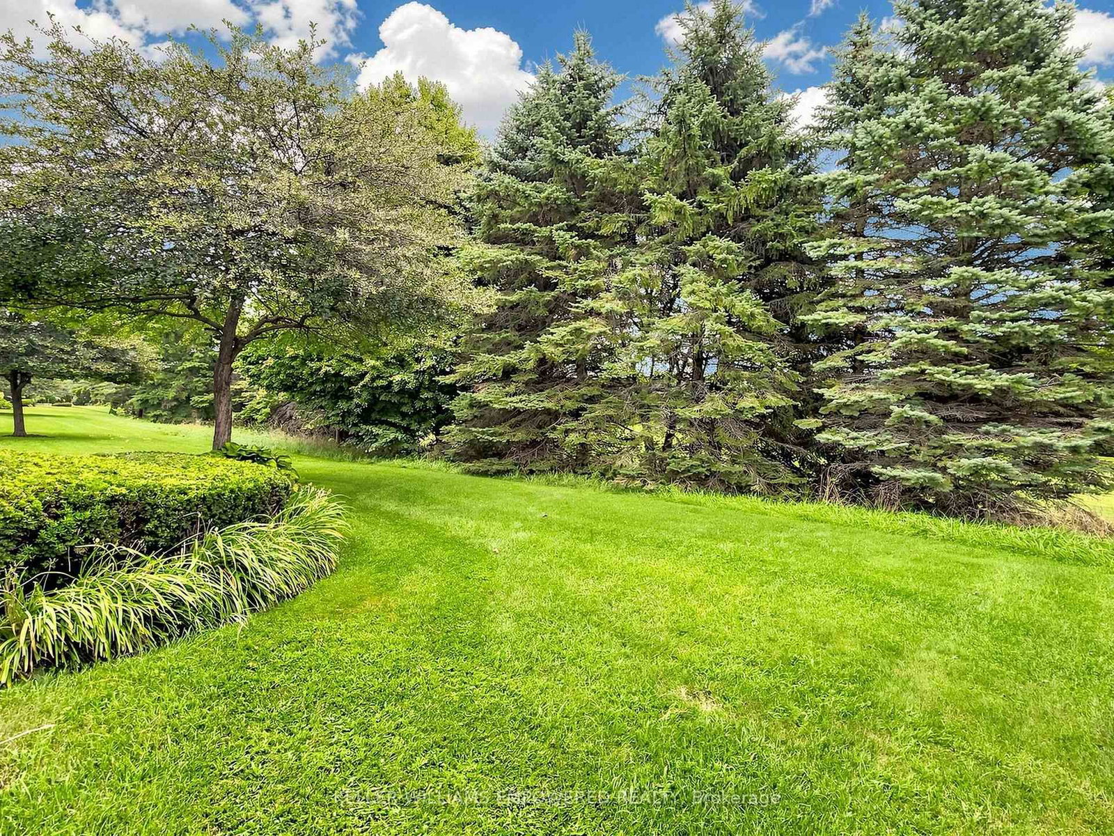 81 Arnies Chance • #40 • Whitchurch-Stouffville, ON photo 34