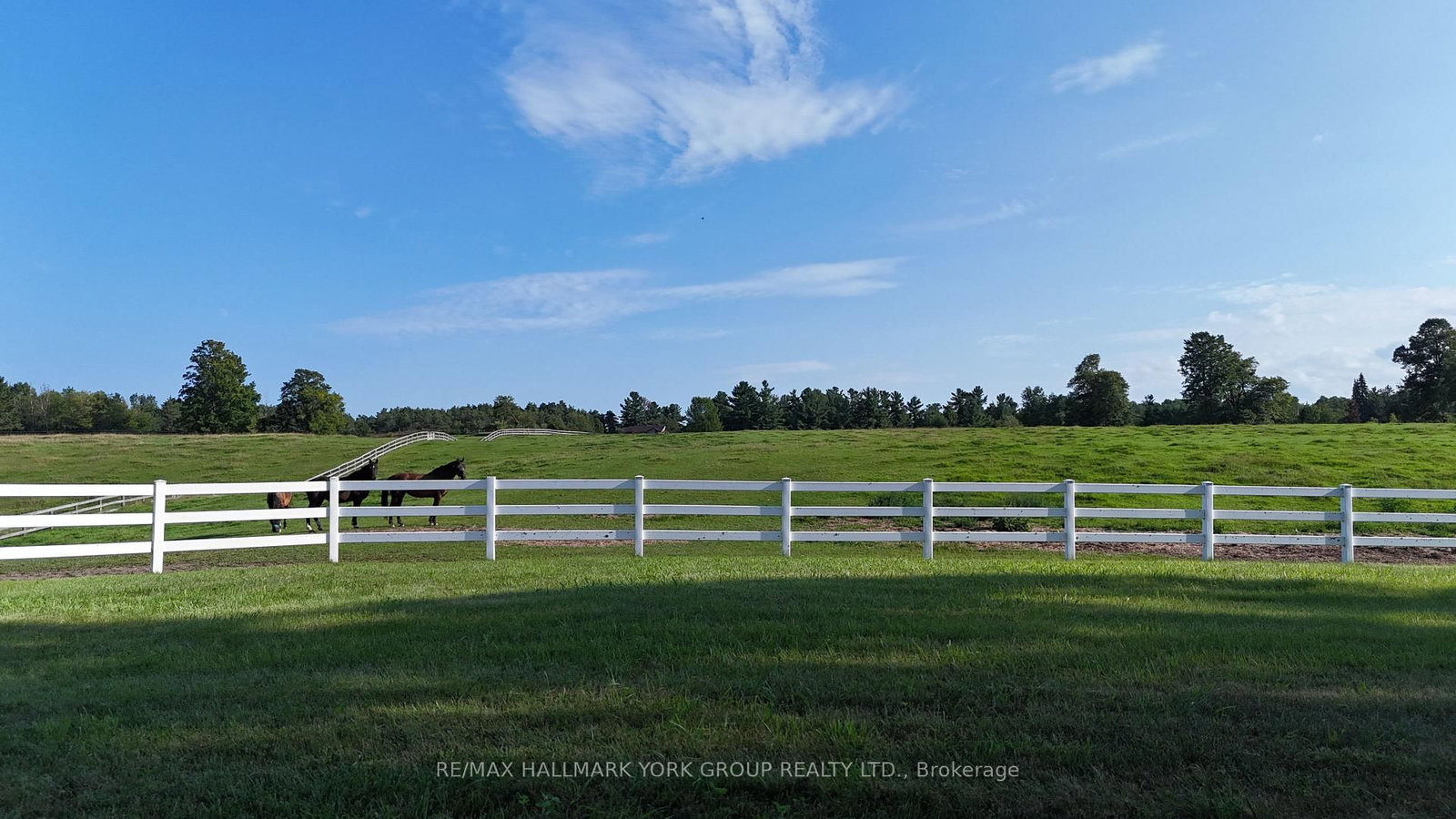 16979 Ninth Line • Whitchurch-Stouffville, ON photo 36