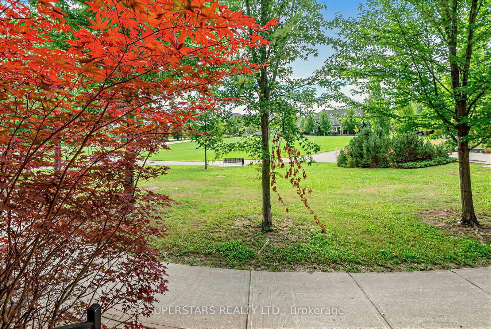 239 Angus Glen Boulevard • Markham, ON photo 36